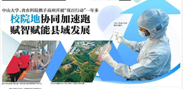 /news/mtzd/